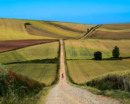 Imagen - El Camino de Santiago   “Camino Francés” 