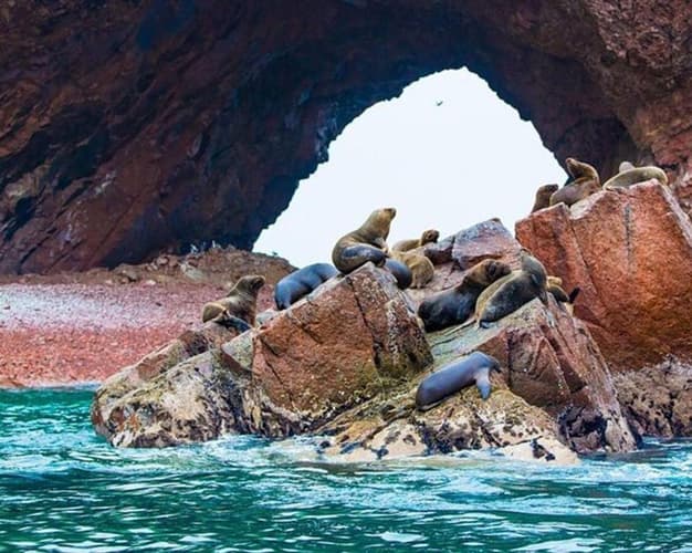 PERÚ DESIERTO Y MAR (Hotel 3* Superior)| 2D-1N