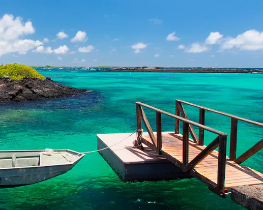 Imagen - GALÁPAGOS:  SANTA CRUZ E ISABELA 05D 04N 