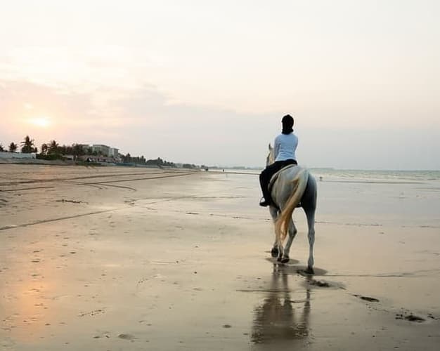 Image - Horse Riding by the beach