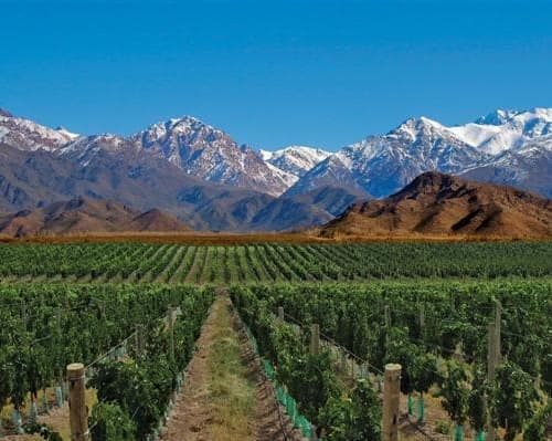 Image - MENDOZA BASICO 5*