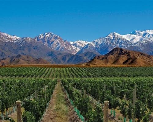 Image - MENDOZA BASICO 3*