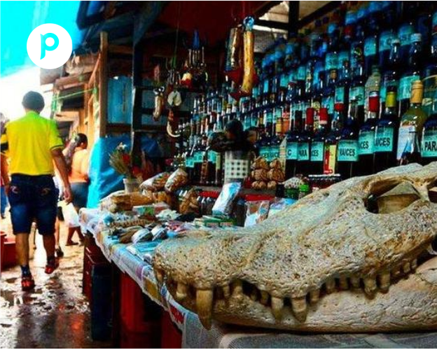 Imagen - Venecia Loretana, Iquitos, Peru
