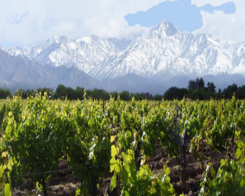 Imagen - Mendoza entre viñedos