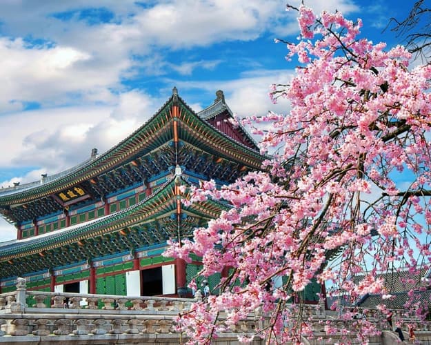 Immagine - COREA SEOUL BEAUTY