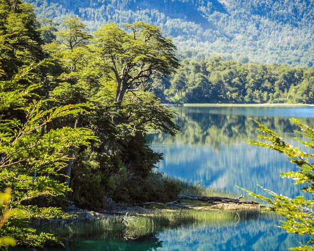 Image -  Bariloche & San Martín de los Andes