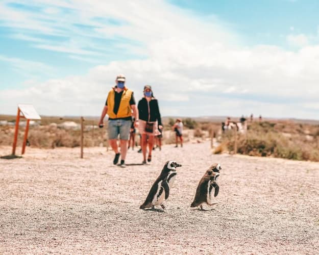 Imagen - Puerto Madryn