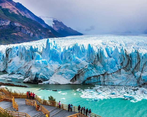 Imagen - EL CALAFATE BASICO 5*