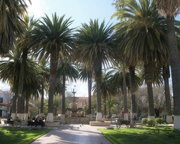 Imagen - Actividad en Tarija l City Tour Full Day