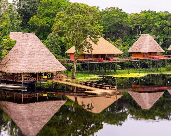 画像 - Explore Napo: 5 Days of Endless Nature