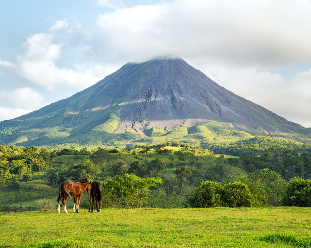 Bild - Costa Rica Inolvidable