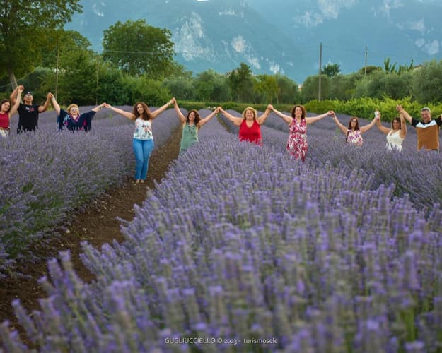 Imagem - CNA - Artigianato nell'alta valle del Sele
