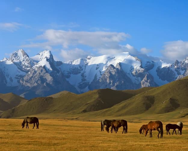 Immagine - EXPLORE KIRGHIZISTAN Nel Cuore delle Montagne Celesti