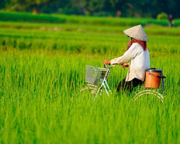 Imagen - Súper Vietnam y Camboya Navegando por el Mekong
