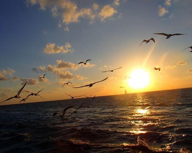 Image - SAN PEDRO, AMBERGRIS CAYE