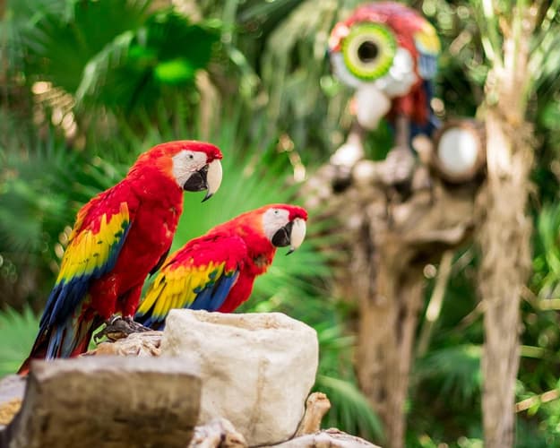 Imagine - Vacanta copiilor in Riviera Maya, Mexic - iunie 