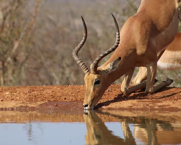 Immagine - Sudafrica Fly & drive