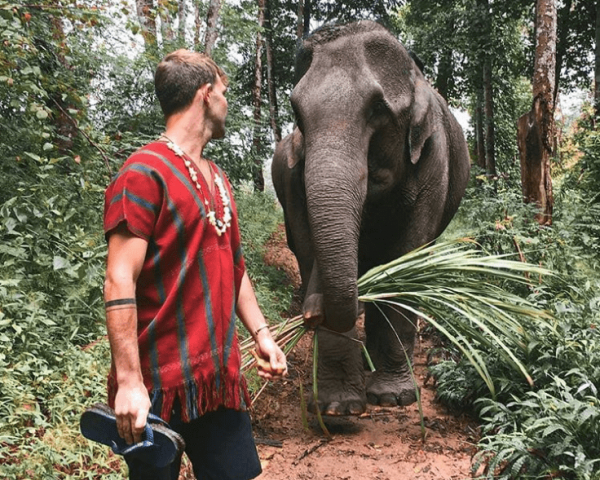 Bild - 2D1N - Elephant Jungle Expedition