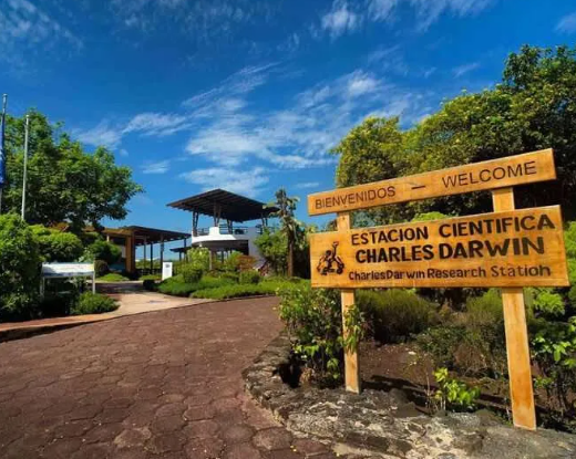 Imagen - Explora Galápagos: Santa Cruz 5D 4N