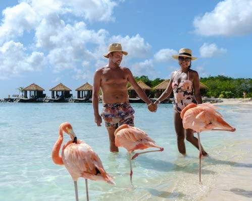 Imagen - Rumbo a Aruba