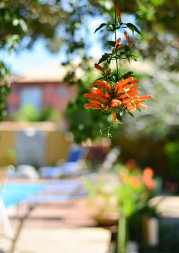 Imagen - Vacaciones de Verano en Búzios - Pousada do Namorado