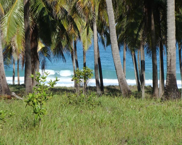 Imagen - Praia do Francês - Vacaciones de Verano