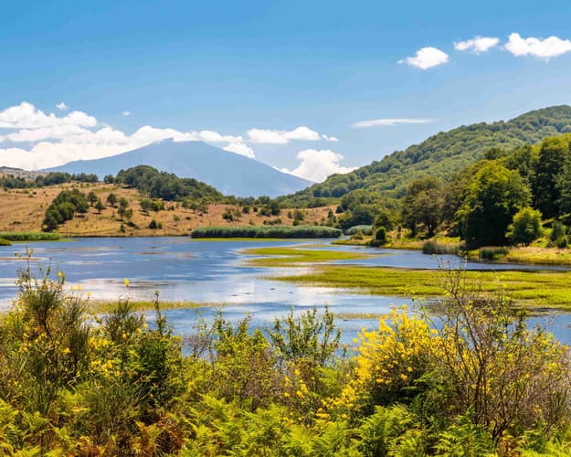 Imagen - Safari Parque Kruger y Playas de Seychelles 