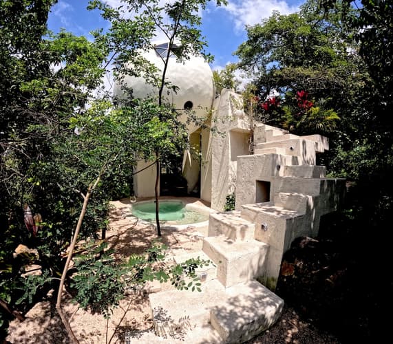 Imagen - TEPOZTLÁN EN EL BOSQUE GEOMÉTRICO