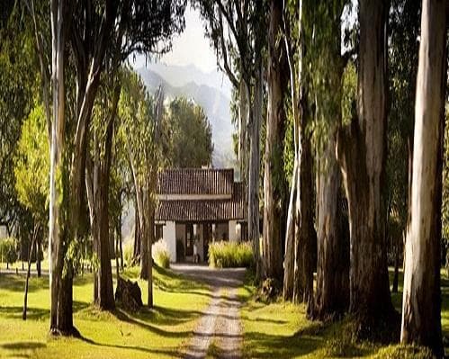 Imagen - Estancia House of Jasmines Salta