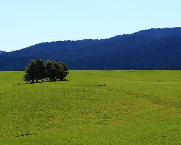 Immagine - Asiago, Veneto