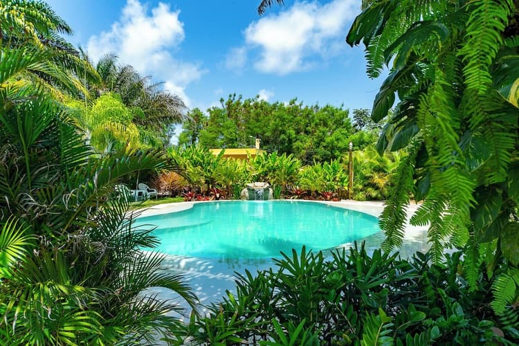 Imagen - Guarajuba - Vacaciones de Verano