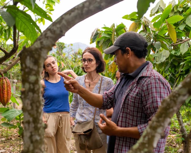 Imagem - Ruta del Cacao