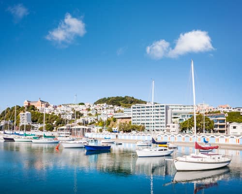 Image - 4 Nights in Wellington, New Zealand