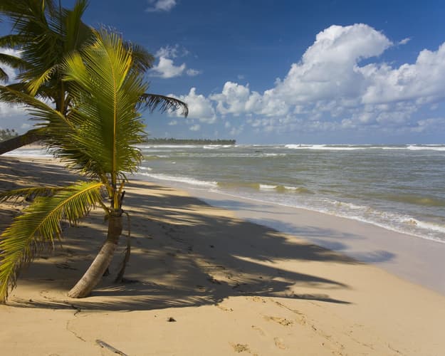 Image - Nickelodeon Uvero Alto, Dominican Republic