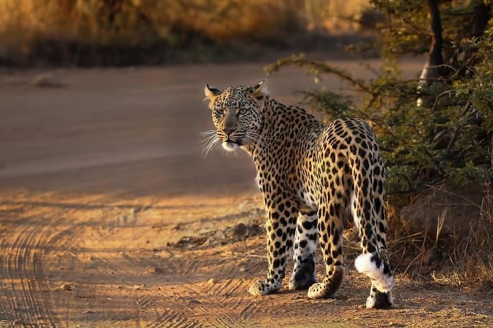 Image -  Circuit Cape Town, Johannesburg & Cascada Victoria - martie