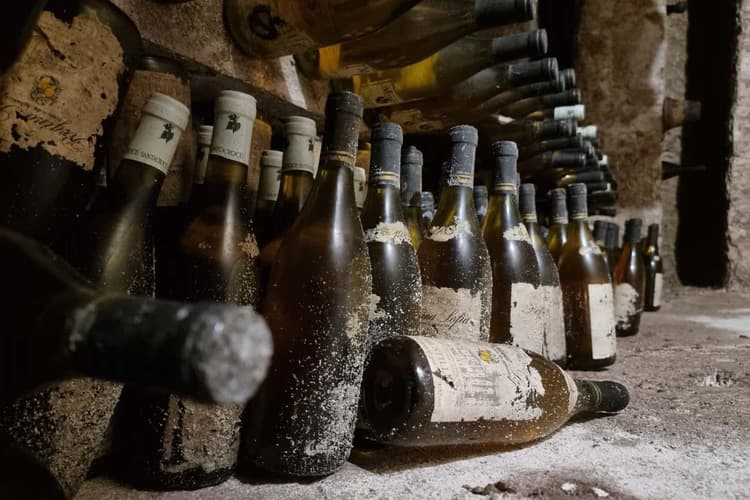 Image - Visita guidata in cantina con degustazione