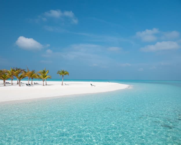 Imagen -  Bayahibe 4 noches + Punta Cana 4 noches 