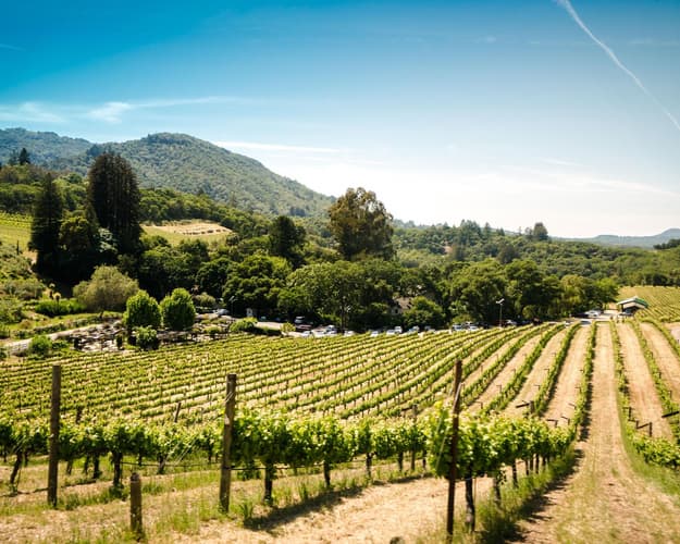 Imagen - Tierra Mía Hacienda, Ruta del Vino - Valle de Guadalupe