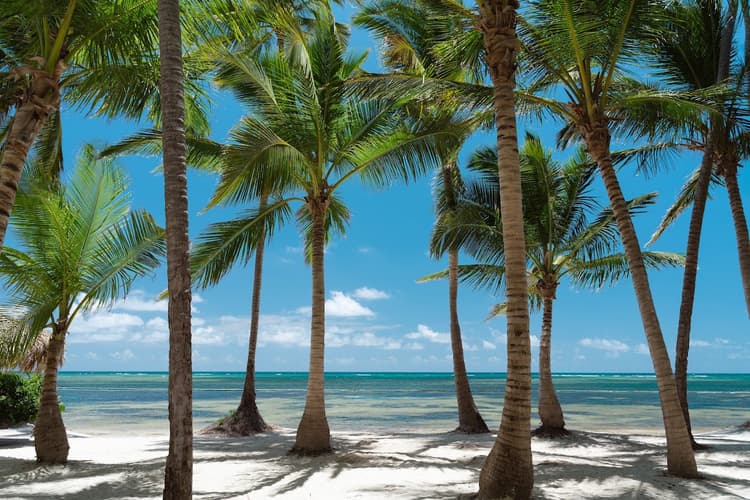 Imagen - Punta Cana con CATALONIA ROYAL BAVARO - 08/02