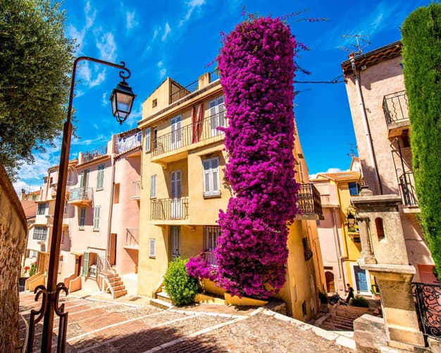 Imazhi -  Nice -Antibes -Cannes 4–8 Gusht