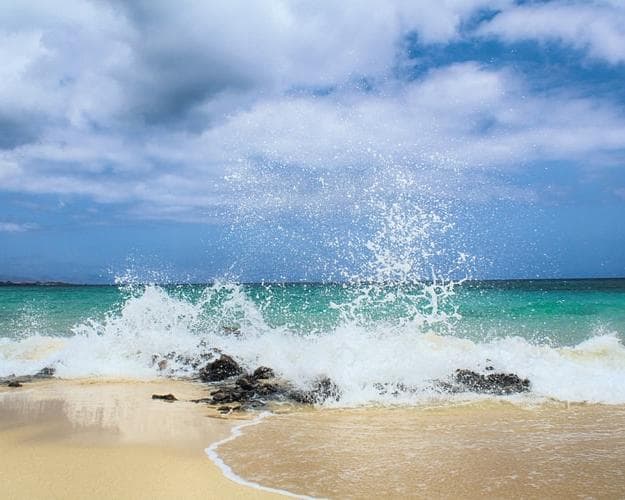 Imatge - Fuerteventura