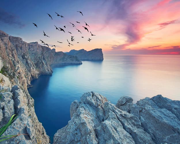 Imagen - Escapada Slow: Encanto Rural en la Serra de Tramuntana