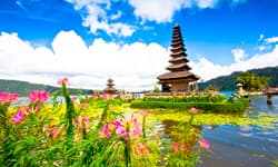 Image - reserva del 20-21 marzo