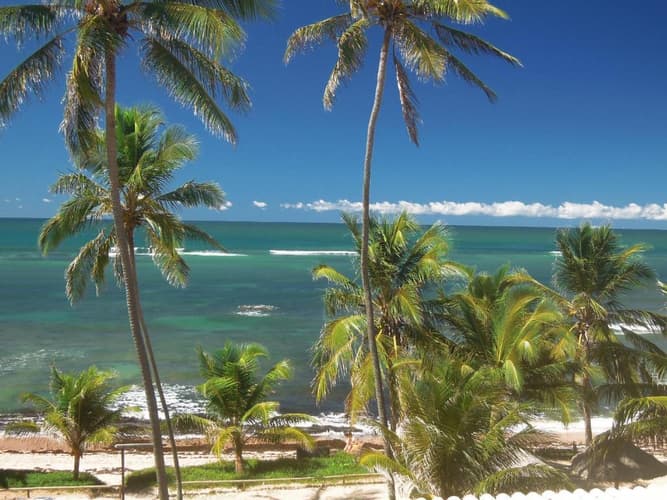 Imagem - Praia do Forte - Porto da Lua  para 2 pessoas 