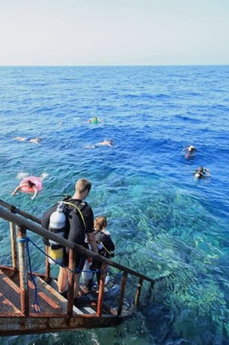 5* Marsa Alam, Egypt , 5 days