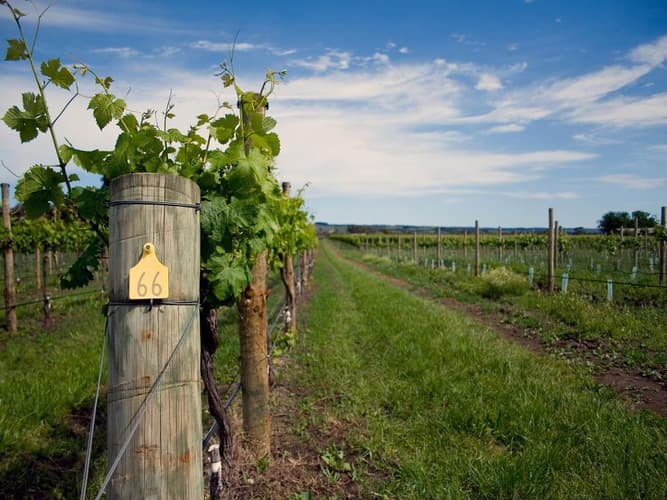 Image - PAQUETE “QUERÉTARO COMPLETO” | 5 DÍAS 4 NOCHES + 3 TOURS