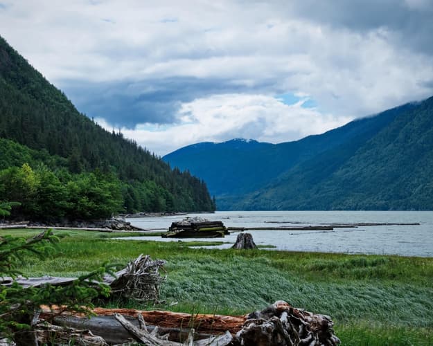 Imagen - OSOS BELLA COOLA Y EL OSO GRIZZLY 4 DIAS 