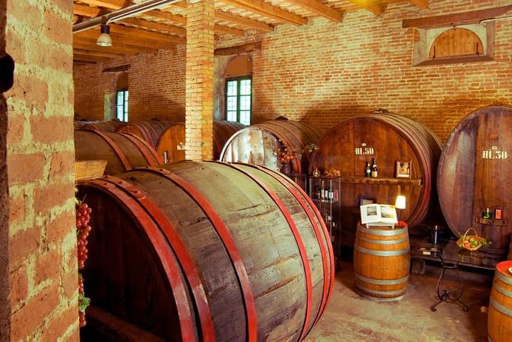 Immagine - Tour del vino e degustazione prezzo l'antica azienda vinicola 