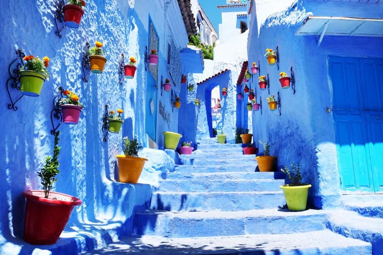Imagen -  Mini Tour Morocco: Marrakesh, Fez, Volubilis, Chefchaouen.