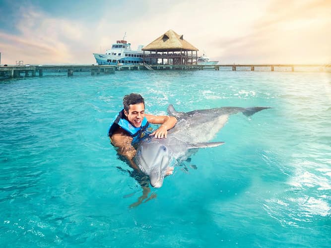 Image - Encuentro con delfines en Maroma Beach